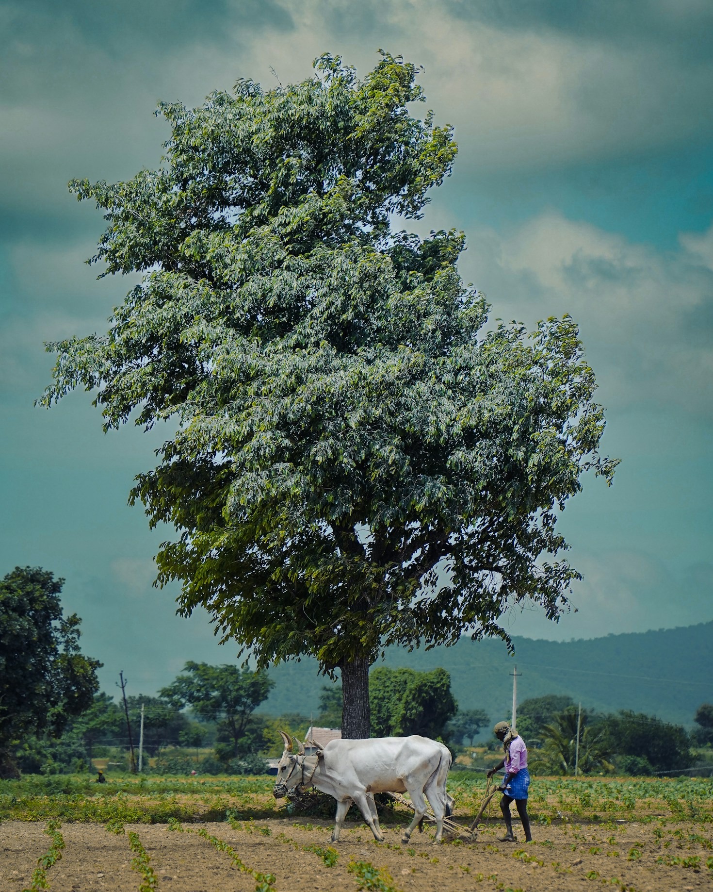 The Legacy of Deepaj Nagargoje: A Social Worker’s Story