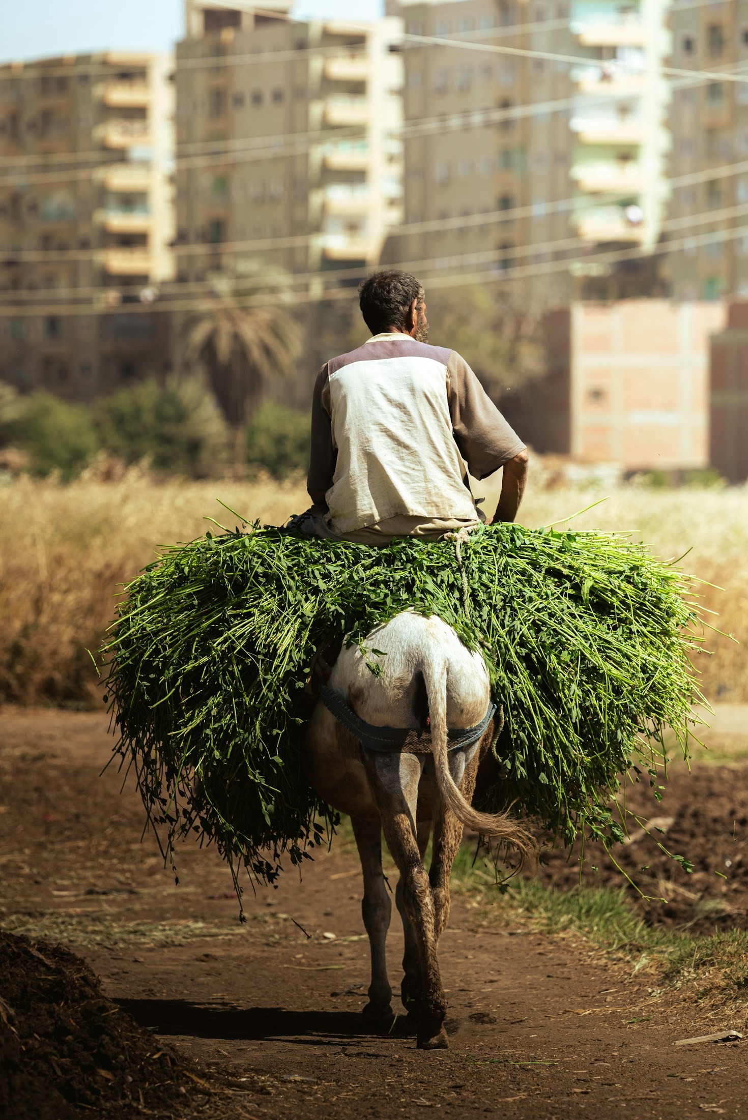 The Impact of Advocacy for Out-of-School Children