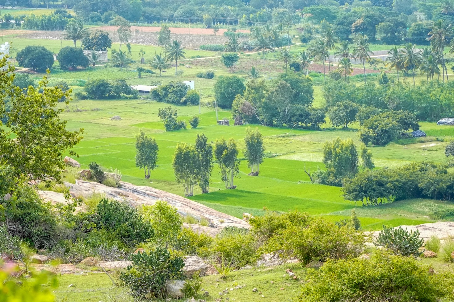 Lessons from Baba Amte and Rabindranath Tagore